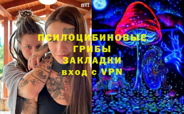 мдпв Арсеньев