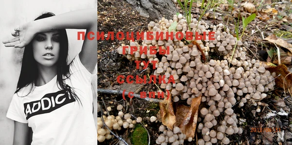 мдпв Арсеньев