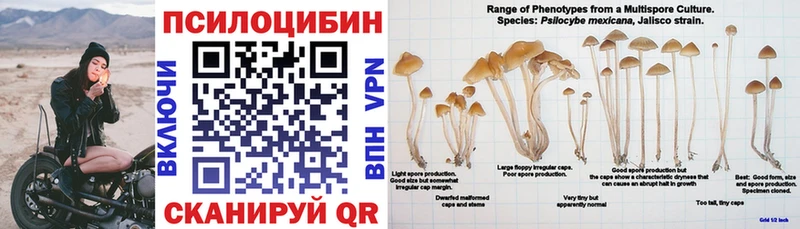 Галлюциногенные грибы ЛСД  Бикин 
